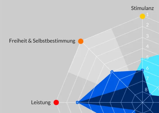Wertelandschaft Leistungen: Cultural Fit Evalueator macht unternehmenskulturelle Passung valide messbar